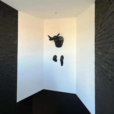 4venice Malcontenta *