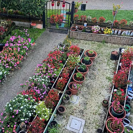 Apartamento 4venice Malcontenta